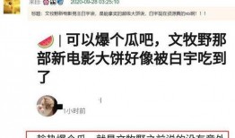 最新社会爆料,社会热点事件背后的真相与反思